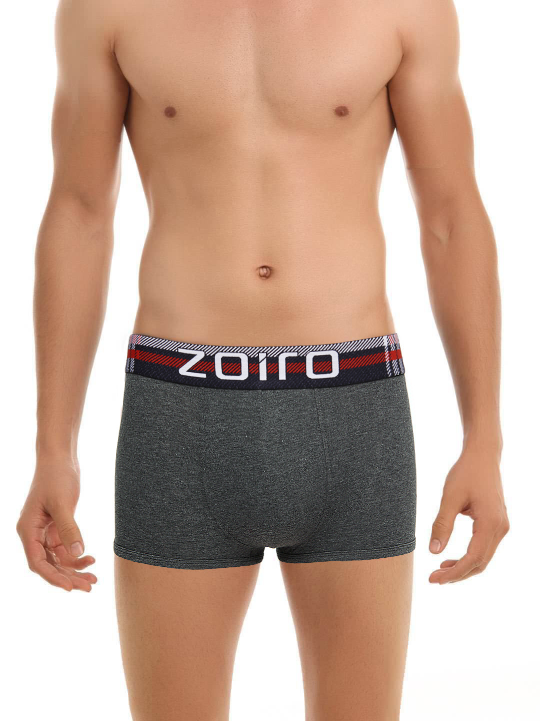 Buy Zoiro Men Grey Trunks Savio 21 Trunk for Men 182570 Myntra