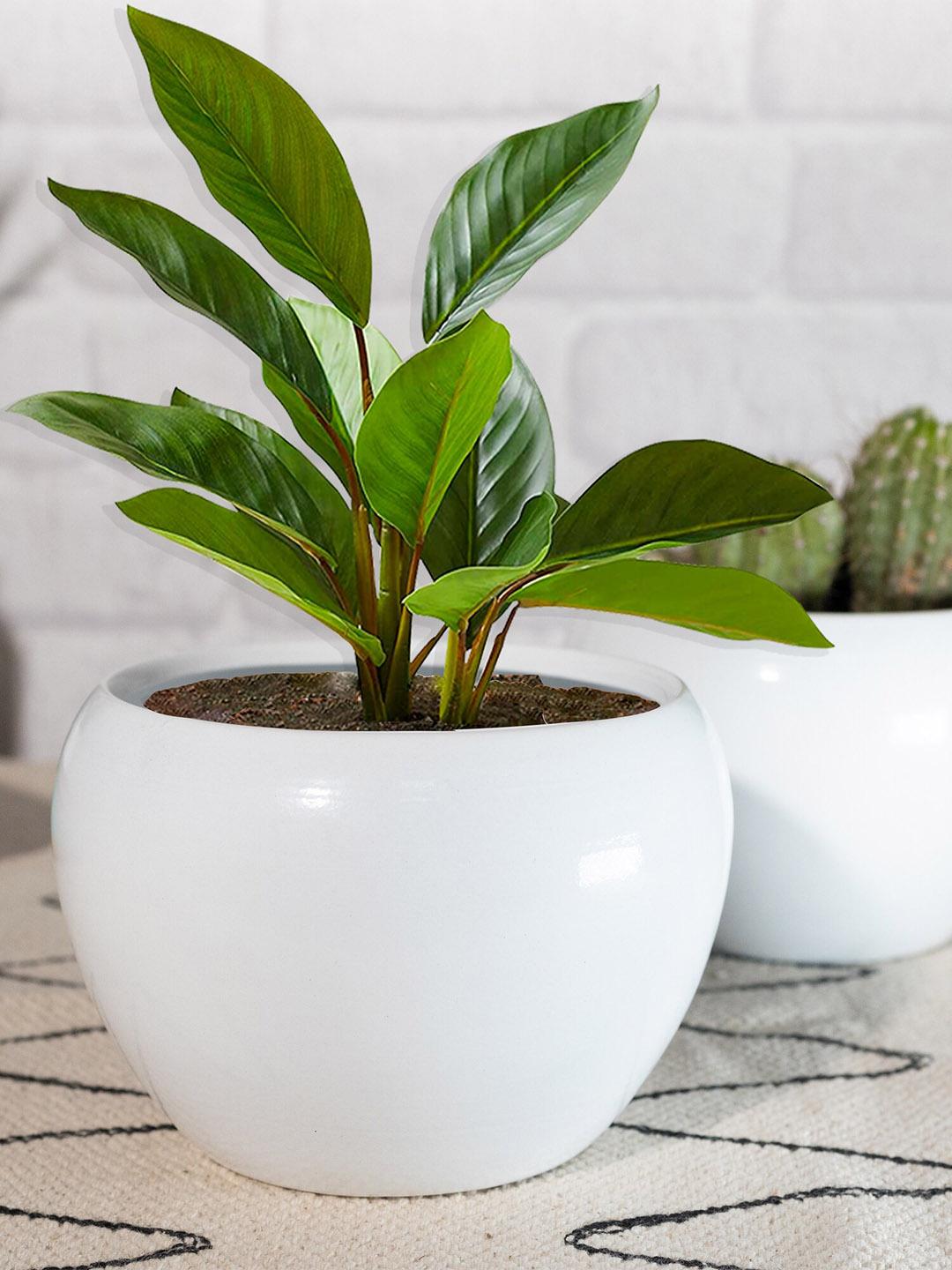 Buy Homesake Set Of 2 White Solid Planters - Planters for Unisex ...