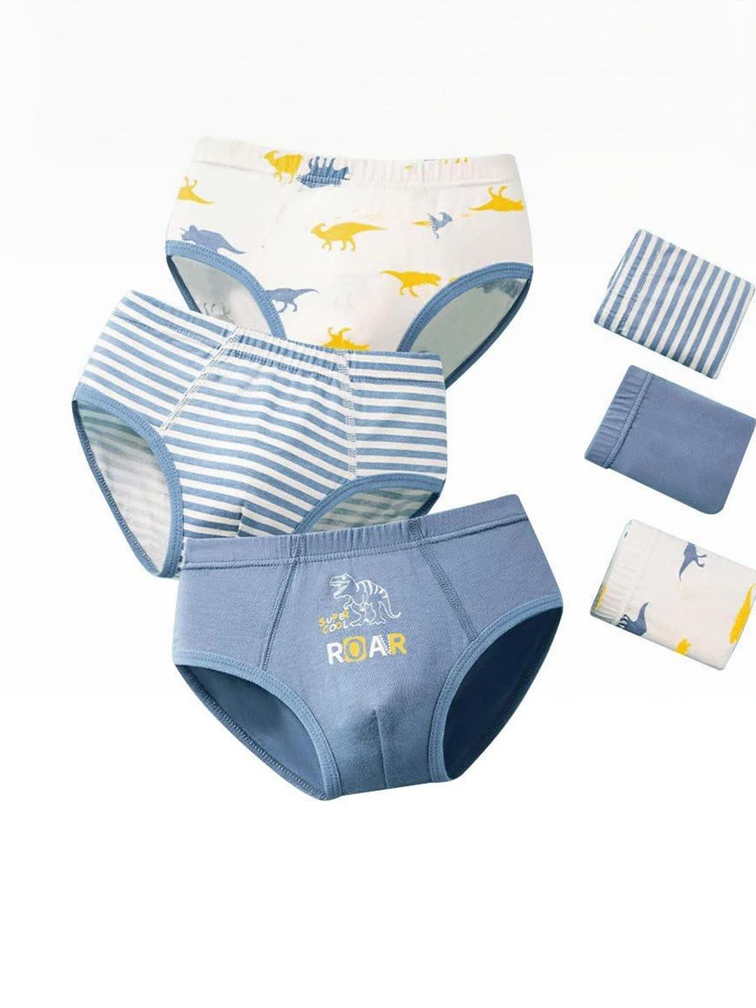 Buy ASJAR Boys Pack Of 3 Printed Hipster Briefs - - Apparel for Boys