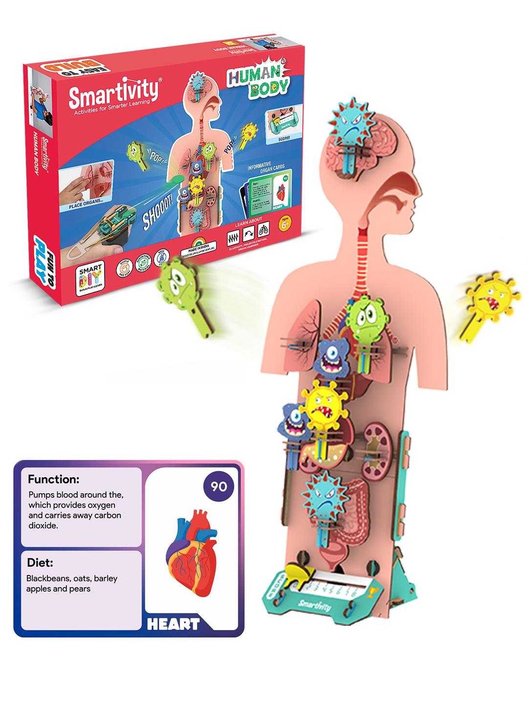 Buy Smartivity Human Body STEM DIY Germ Buster - Learning And ...