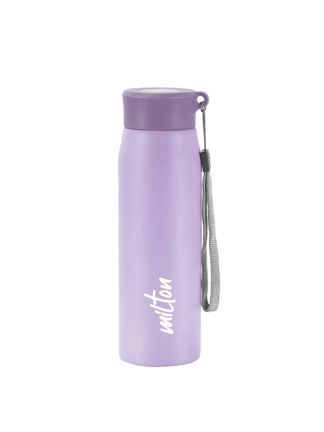 Buy Milton Handy 650 Purple Solid Stainless Steel Spill Proof Water ...