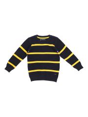 Allen Solly Junior Boys Blue & Yellow Striped Sweater