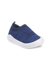 Kittens Boys Navy Blue Sneakers