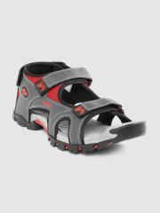 Lee Cooper Men Grey & Red Sports Sandals