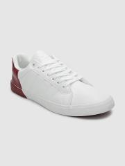 WROGN Men Off-White & Burgundy Sneakers