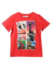 Beebay Boys Red Printed T-shirt