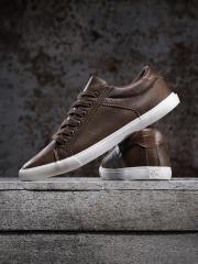 Roadster Men Brown Sneakers