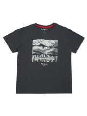 Pepe Jeans Boys Grey Printed T-shirt