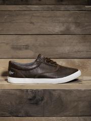 Roadster Men Brown Sneakers