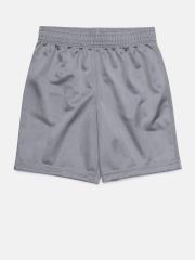 The Childrens Place Boys Grey Solid Regular Shorts