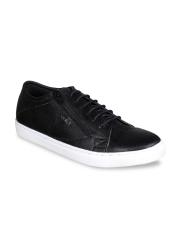 Duke Men Black Sneakers