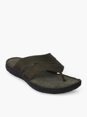 Woodland Men Olive Green Sandals