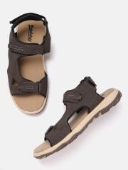 Roadster Men Brown Solid Sports Sandals