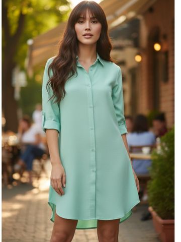 DressBerry Shirt Dress
