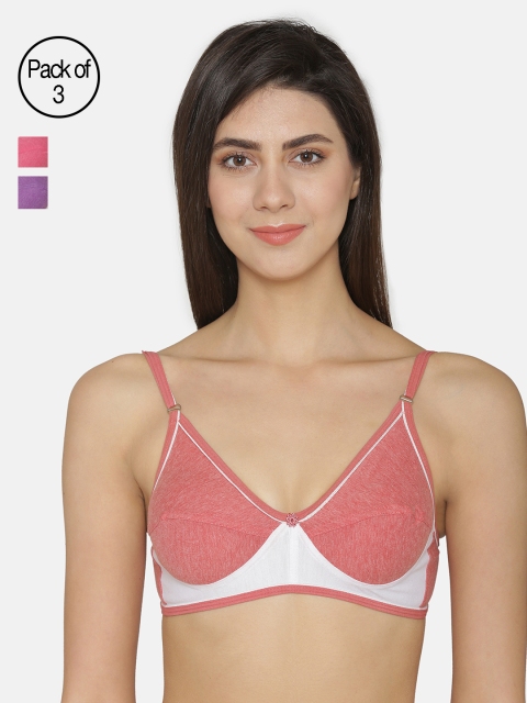 

ABELINO Pack of 3 Solid Non-Wired Non Padded T-shirt Bras, Pink