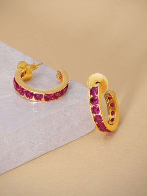 

Pipa Bella Gold-Toned & Pink Circular Half Hoop Earrings