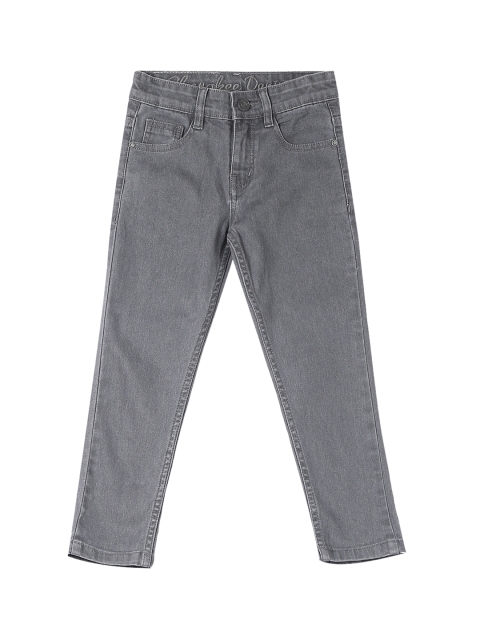 

Cherokee Boys Grey Slim Fit Mid-Rise Clean Look Stretchable Jeans