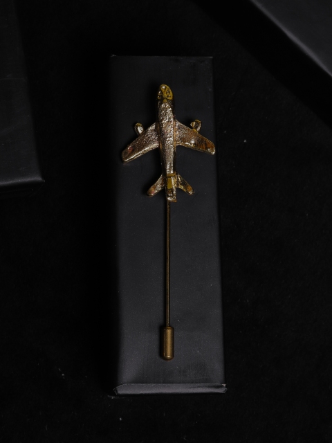 

Jewel Junction Men Gold-Toned Plane Shaped Brooch