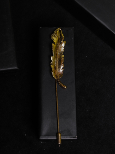 

Jewel Junction Men Gold-Toned Feather Shaped Brooch