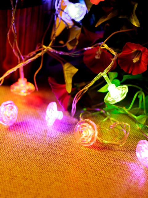 

TAYHAA Set of 3 Multicoloured Festival String Lights, Green