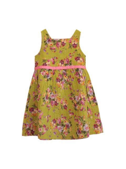 

My Little Lambs Girls GreenPrinted Fit & Flare Dress, Green