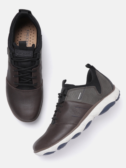 

Geox Men Coffee Brown Solid Leather Sneakers