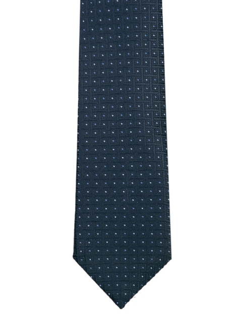 

Park Avenue Men Blue Woven Design Broad Tie