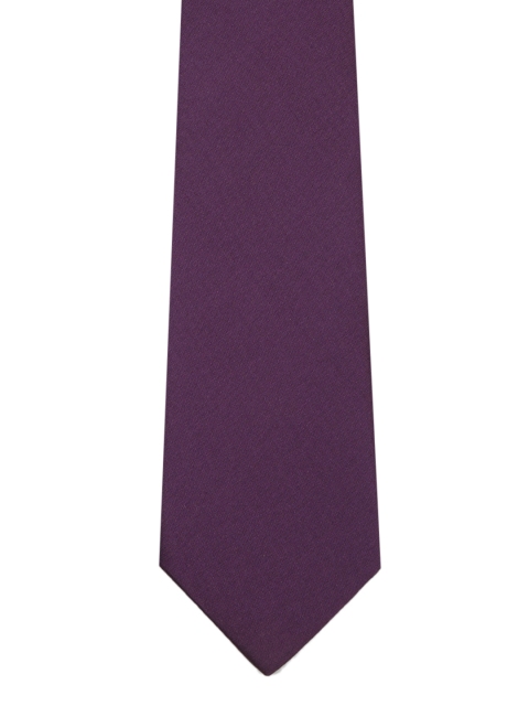 

Park Avenue Men Violet Solid Broad Tie