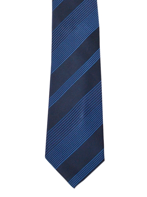 

Alvaro Castagnino Blue Striped Silk Tie