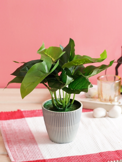 

PolliNation Green Set of 2 Artificial Bonsai With Grey Fibre Pot