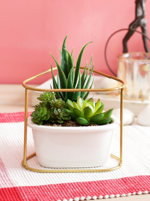 

PolliNation Green Artificial Succulent Bonsai With Gold-Toned Metal Stand White Ceramic Pot