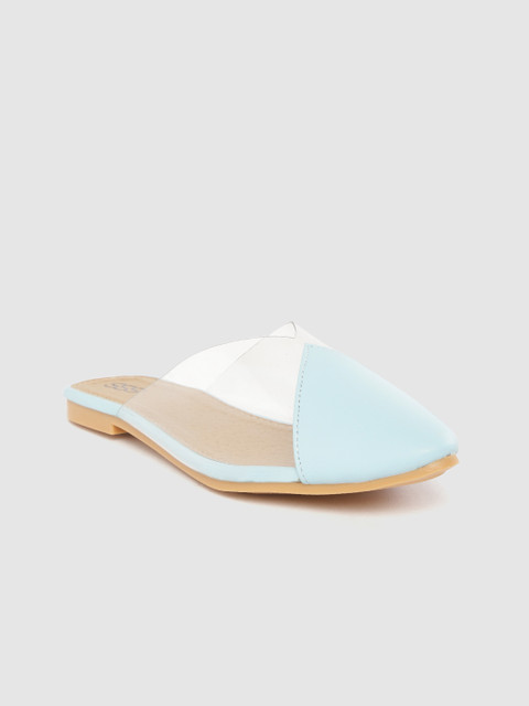 

Street Style Store Women Blue & Transparent Mules