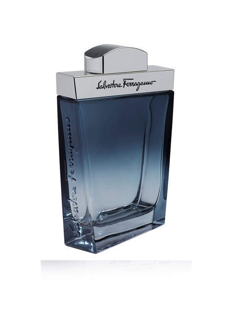 

Salvatore Ferragamo Subtil Pour Homme Eau de Toilette 100 ml, Grey