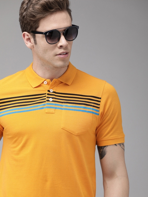 

Park Avenue Men Mustard Yellow & Black Striped Polo Collar T-shirt