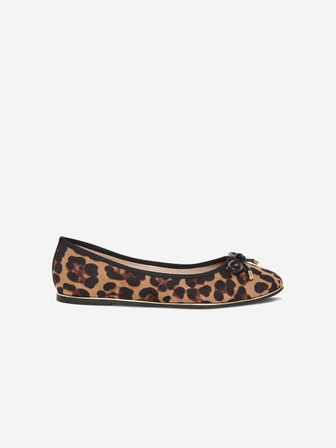 

DOROTHY PERKINS Women Brown & Beige Leopard Printed Ballerinas