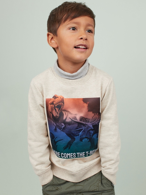 

H&M Boys Beige Printed Sweatshirt