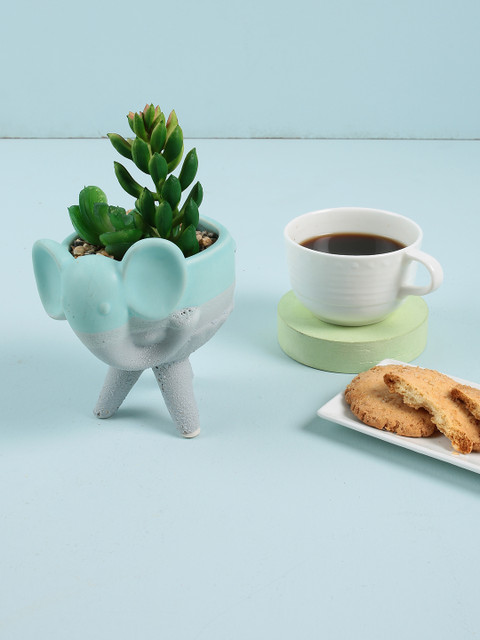 

Chumbak Sea Green & White Colourblocked Planter