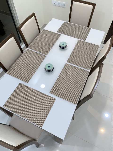 

HOKIPO Set of 6 Metallic Striped Table Placemats