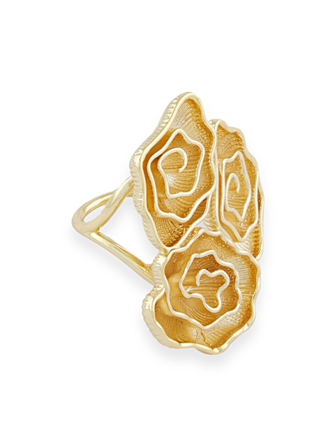 

shaze Gold-Plated Finger Ring