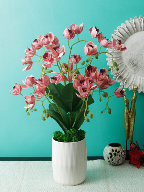 

Aesthetic Home Solutions Pink & White Artificial Exotic Orchid Plant With Pot