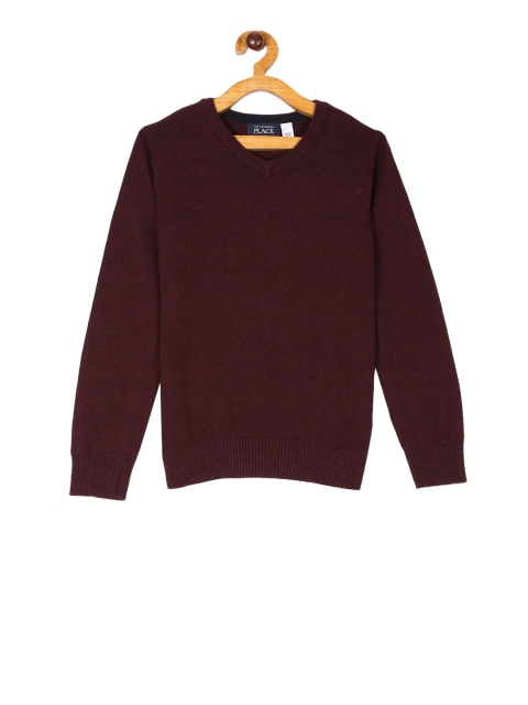 

The Childrens Place Boys Burgundy Solid Pullover Sweater