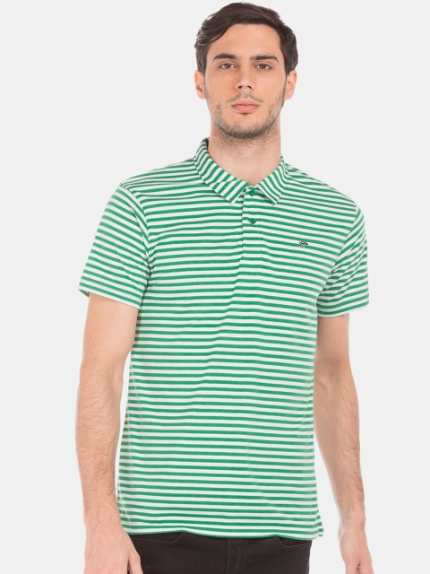 

Ruggers Men Green Striped Polo Collar T-shirt