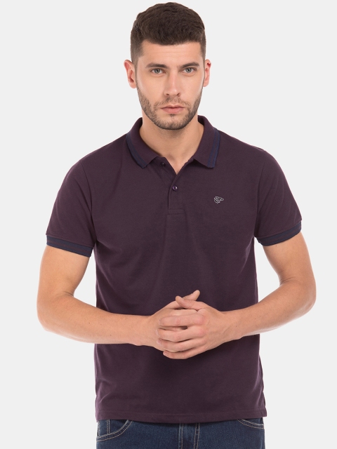 

Ruggers Men Purple Solid Polo Collar T-shirt