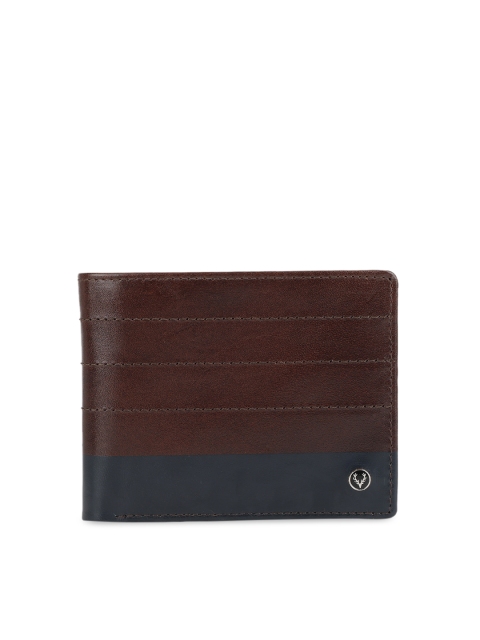 

Allen Solly Men Brown & Navy Blue Colourblocked Leather Two Fold Wallet