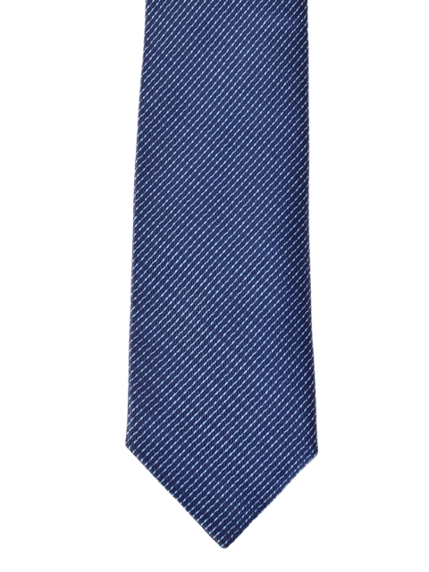 

Alvaro Castagnino Blue Tie