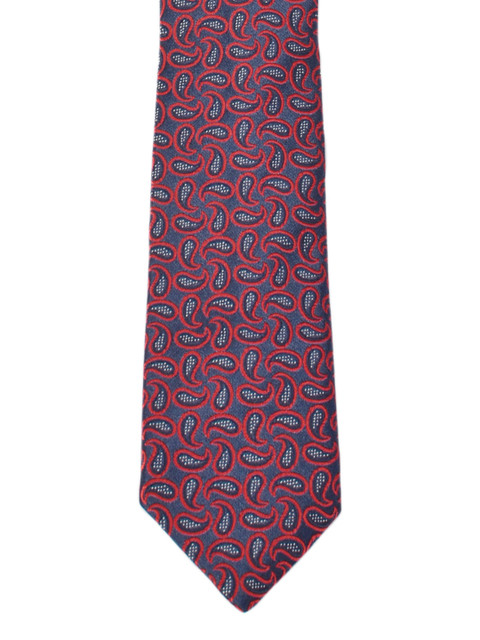 

Alvaro Castagnino Blue & Maroon Tie