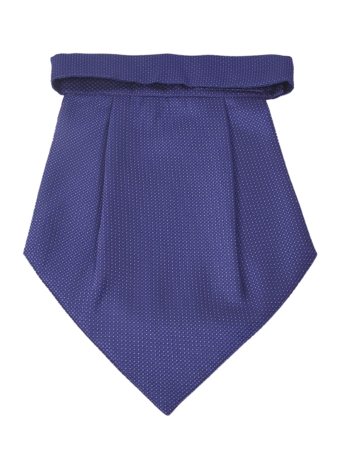 

Alvaro Castagnino Blue Printed Cravat