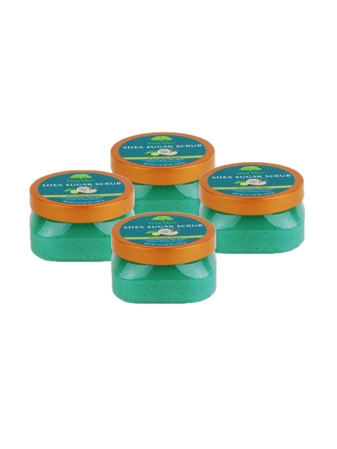

Tree Hut Pack of 4 Coconut Lime Shea Sugar Scrub 156 g each, Green