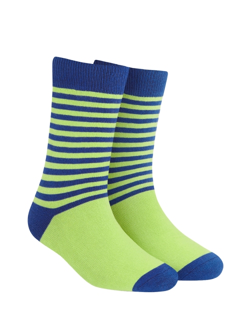 

Dynamocks Unisex Green & Blue Striped Calf-Length Socks