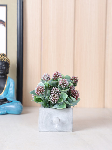 

TAYHAA Green & Maroon Indoor Decorative Plant with Pot